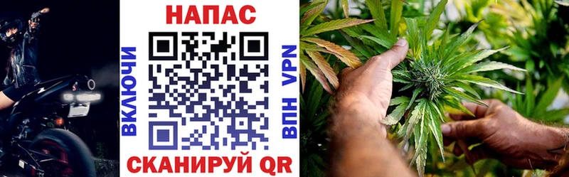 МАРИХУАНА White Widow  блэк спрут сайт  Новотитаровская 